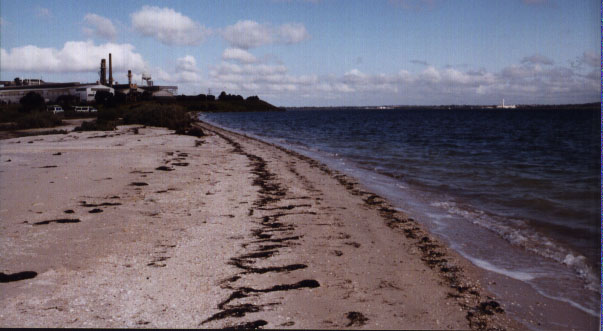 point henry